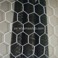 Galvaniserad hexagonal Wire Fencing-Chicken Wire Mesh